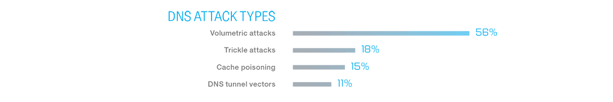 Figure 6: DNS attack types and the risk to the network.
